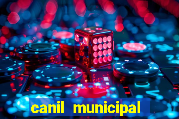 canil municipal porto alegre